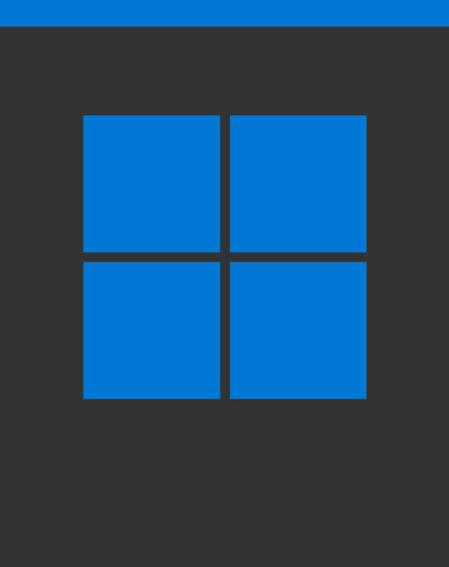 WINDOWS 11